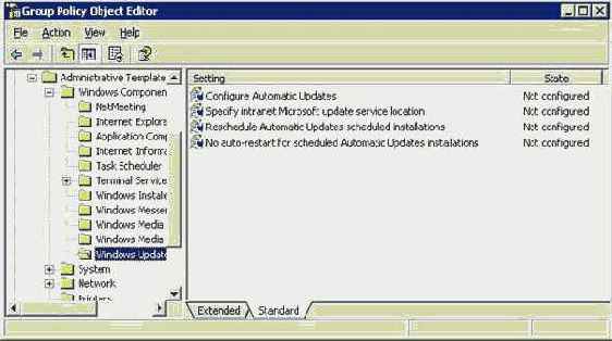  Windows Automatic Updates